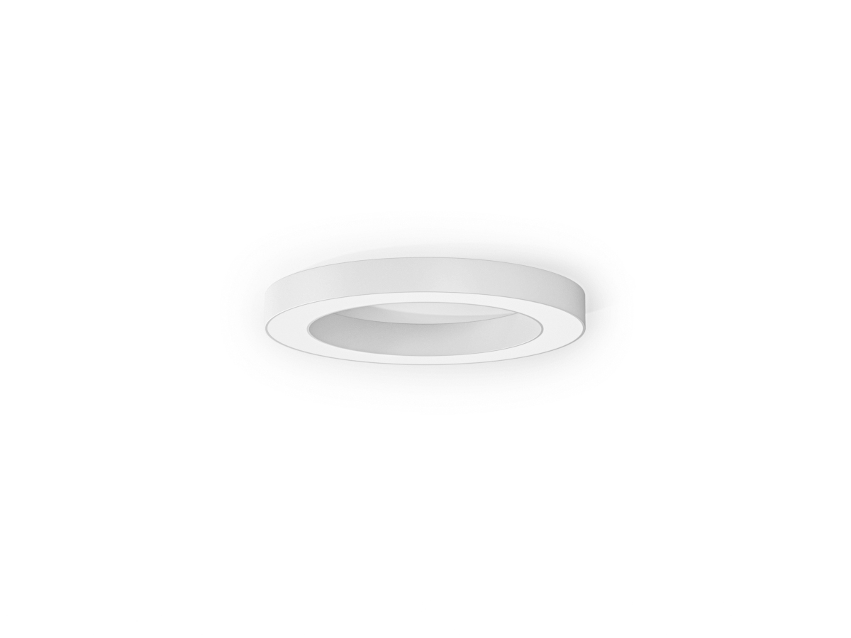 SILVER RING - P08201.080.0402