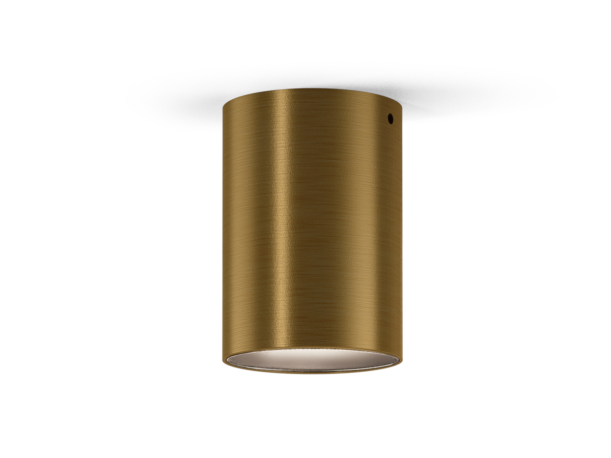 CARL - X12217.008.2501